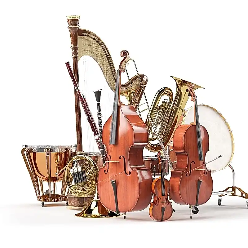 Düğün Orkestrası